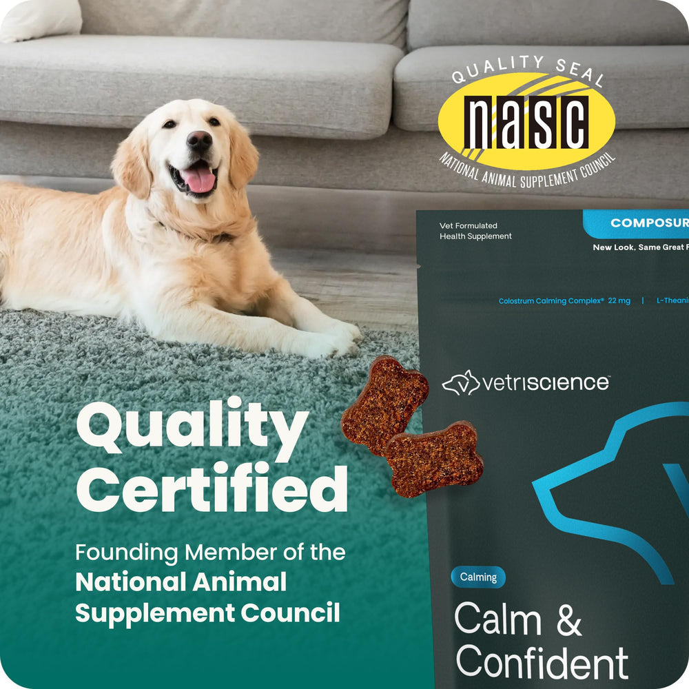 VETRISCIENCE perro recibiendo masticable para soporte en situaciones estresantes