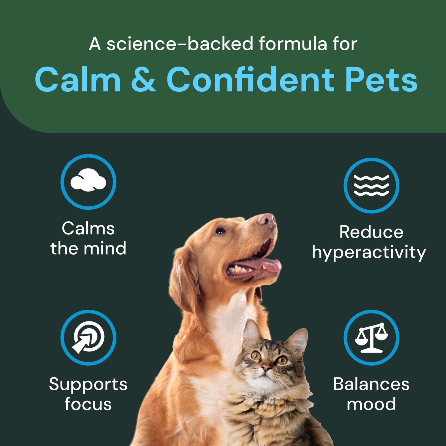 Etiqueta informativa de VetriScience Calm & Confident con instrucciones y beneficios claros