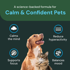 Etiqueta informativa de VetriScience Calm & Confident con instrucciones y beneficios claros