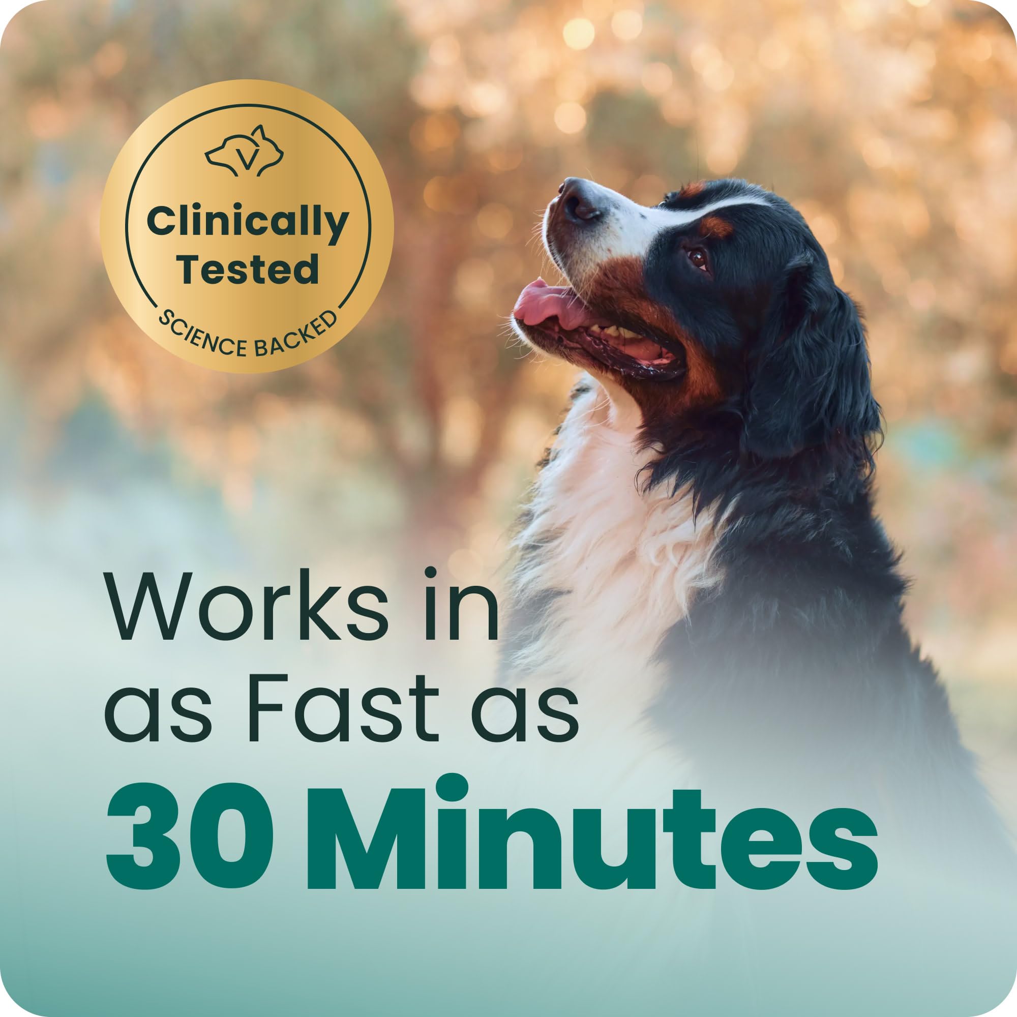 VETRISCIENCE mordisco masticable de bacon visto de cerca que atrae al perro