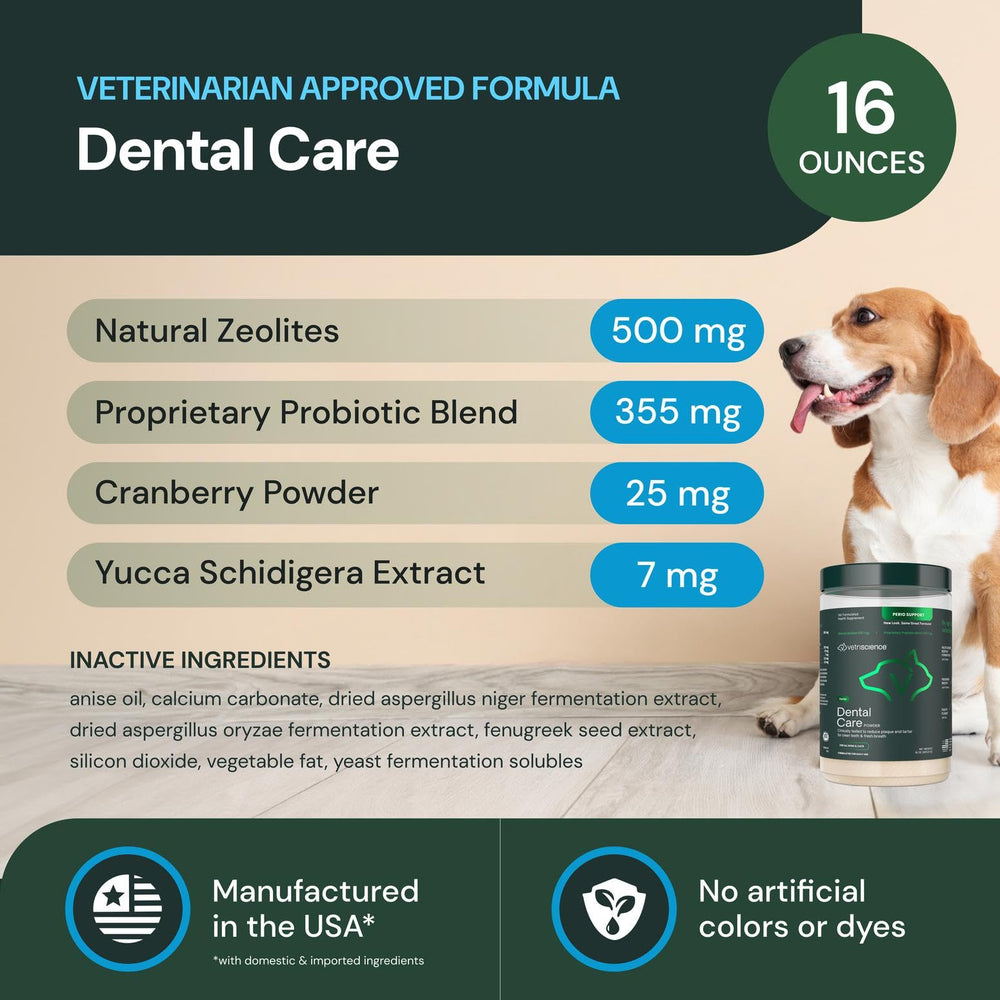 VETRISCIENCE textura del polvo dental, aspecto fino y homogéneo que facilita mezcla