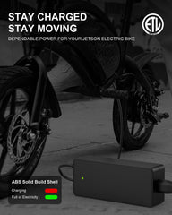vhbw cargador 42V en mano para comparar tamaño y facilidad de transporte
