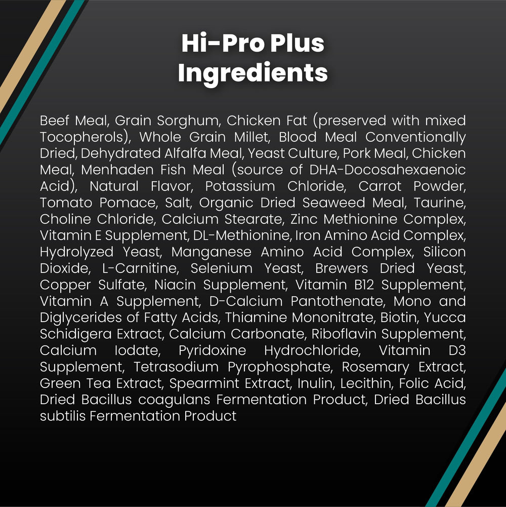 VICTOR cachorro comiendo Hi-Pro Plus mostrando crecimiento saludable