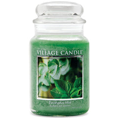 Village Candle tarro frontal eucalipto menta que aporta estilo y fragancia