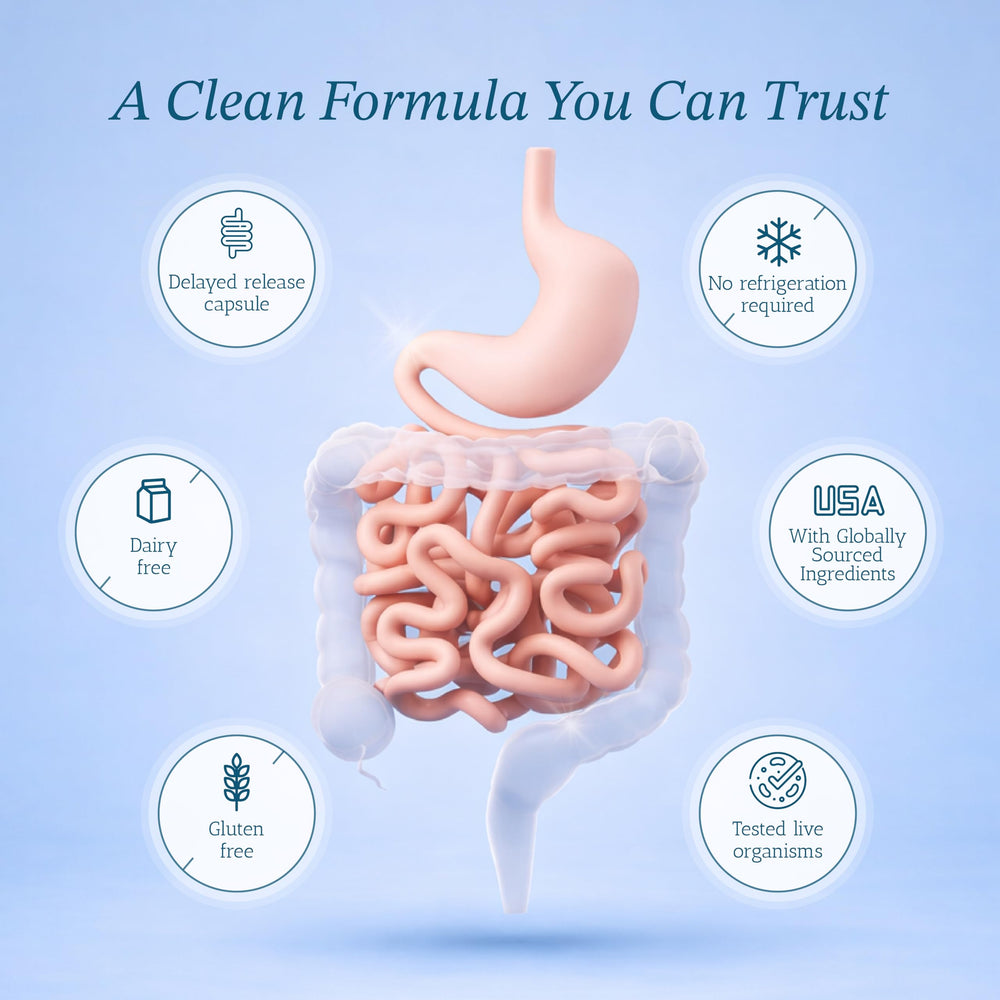 Vitamin Bounty etiqueta nutricional enfatizando ingredientes y dosis diaria