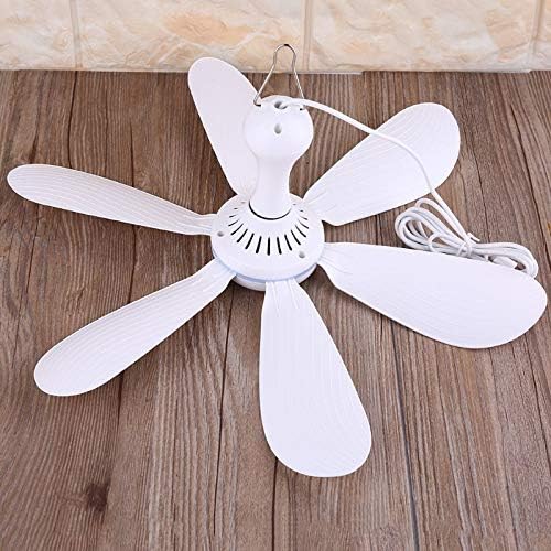 VizGiz etiqueta de especificaciones con voltaje 5V y consumo 5W visible