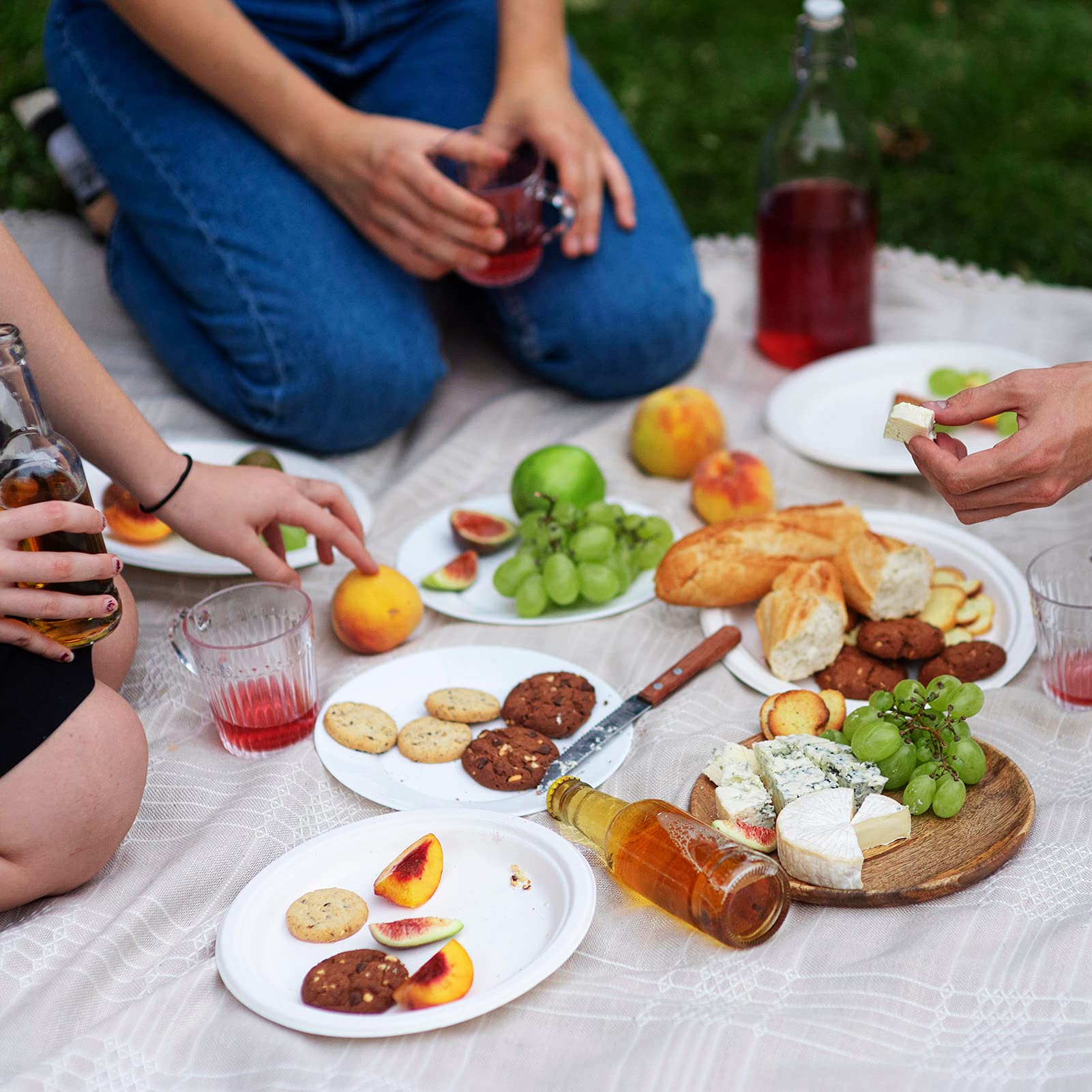 Vplus platos en picnic al aire libre, opción ecológica práctica