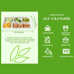 Vplus bandeja en uso con alimento servido mostrando separación y practicidad