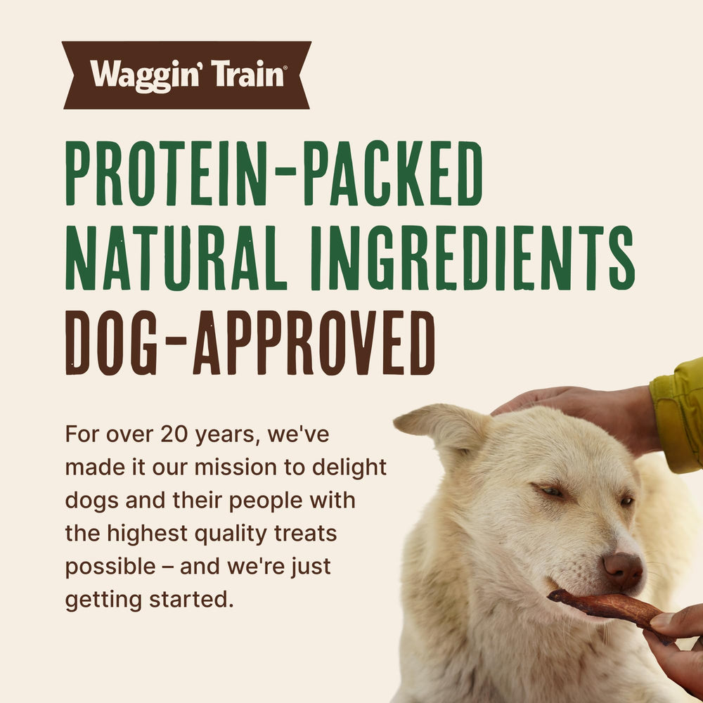 Waggin' Train dueño ofreciendo snack, momento de entrenamiento feliz