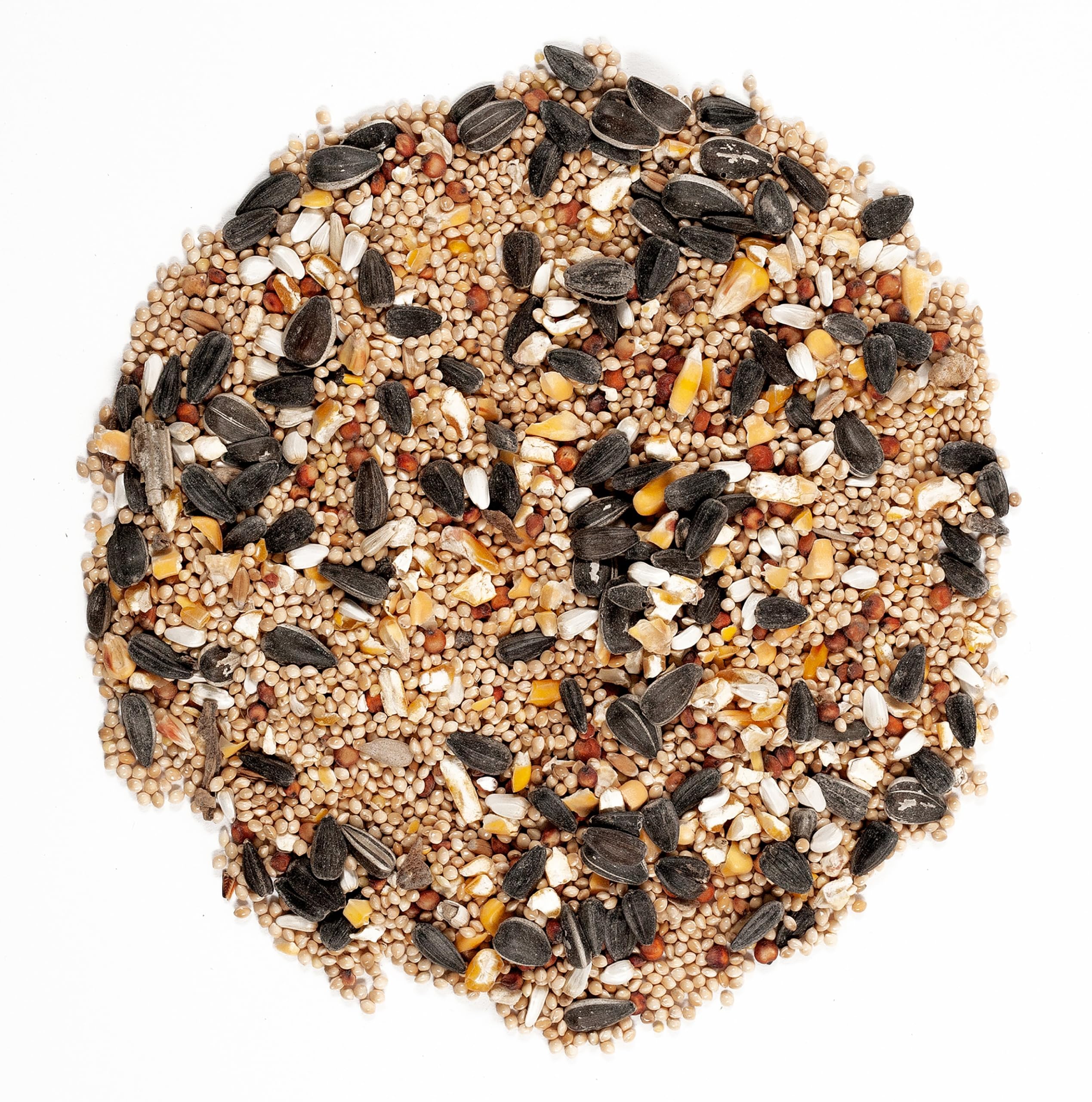 Wagner's hopper feeder filled with blend attracting birds benefit easy feeding