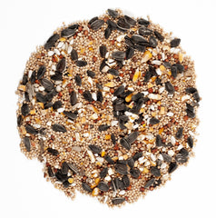 Wagner's hopper feeder filled with blend attracting birds benefit easy feeding