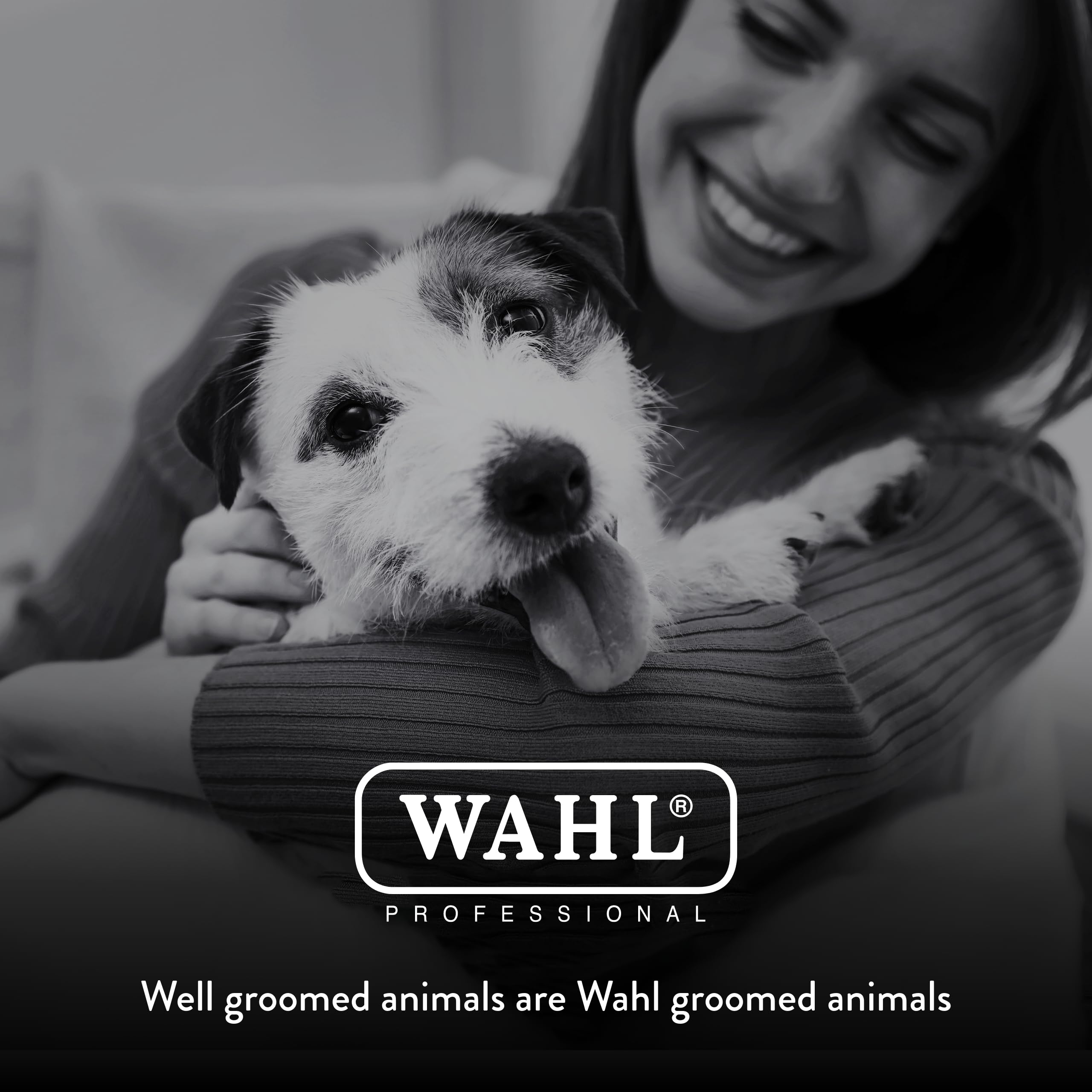 Wahl hoja instalada en cortadora en salón profesional mejorando eficiencia