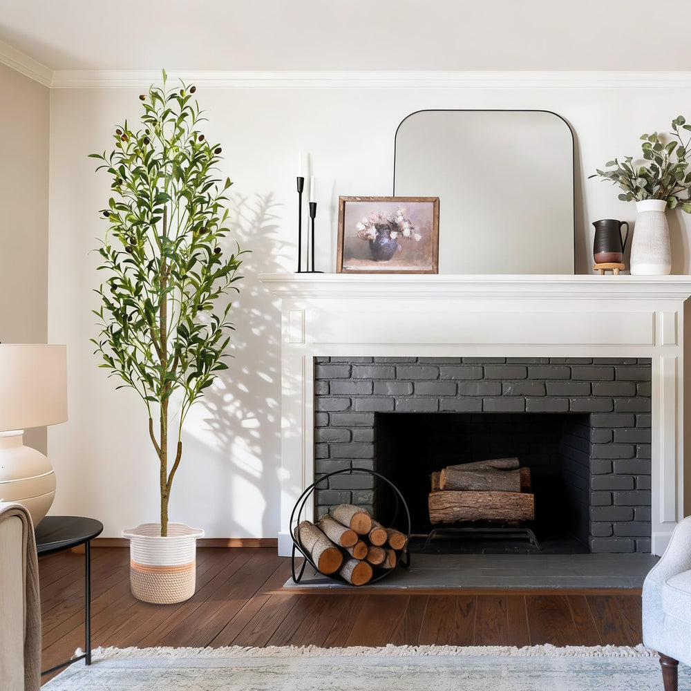 Waipfaru árbol en salón añadiendo verde sin mantenimiento ni riego