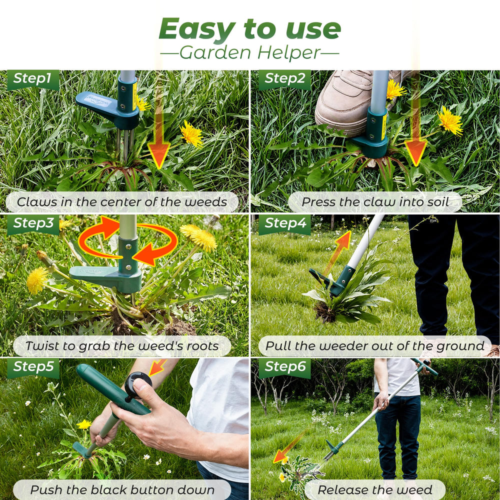 Walensee tine penetration in moist soil showing deep root reach benefit
