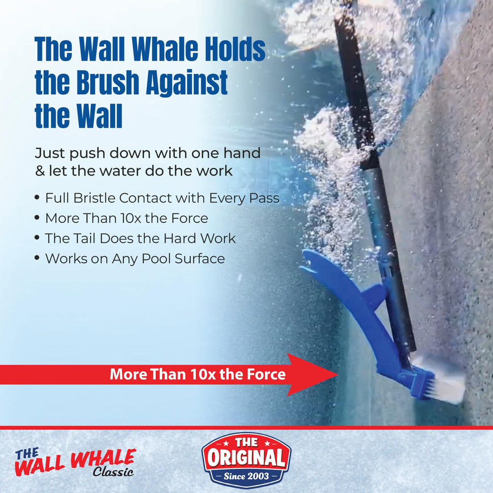 Wall Whale primer plano de cerdas de nailon duraderas y resistentes