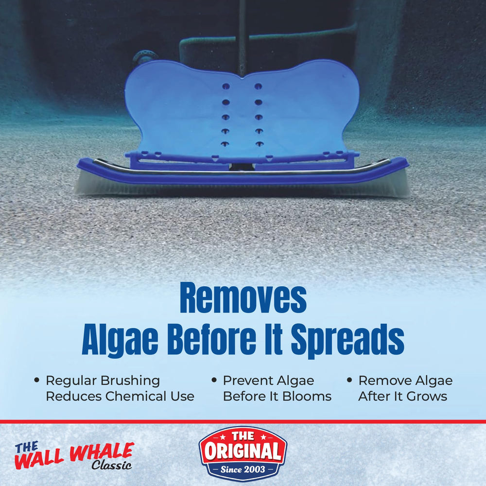 Wall Whale unido a palo de piscina en uso para limpieza rápida