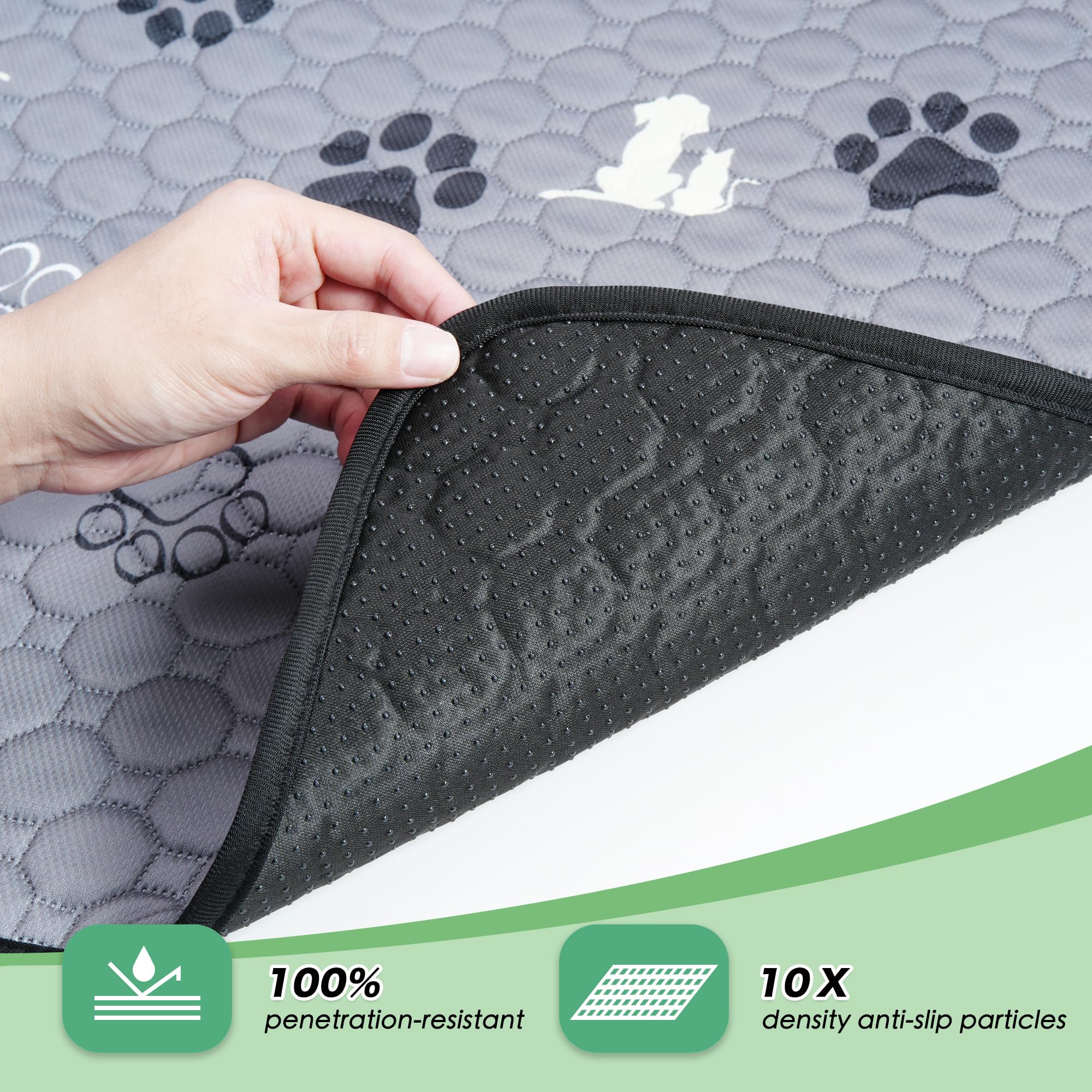 WanpeeGoo corte interno que muestra capa absorbente para mantener seco