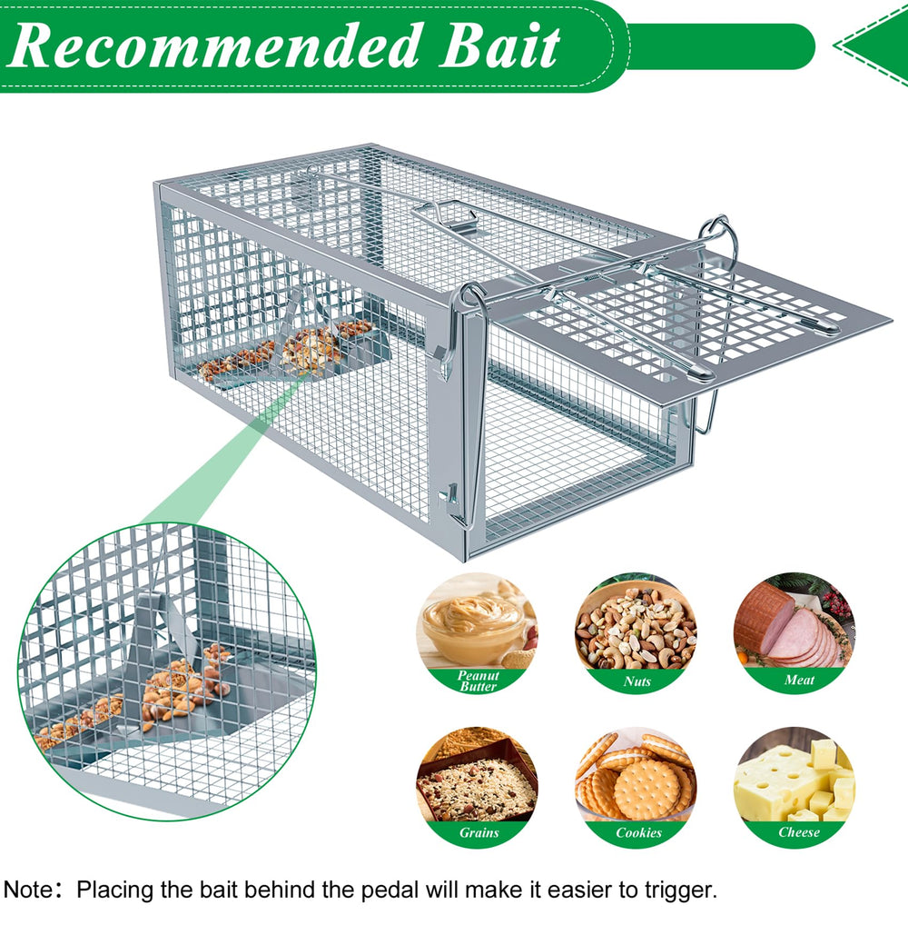 Wanqueen cage held in hand showing scale and easy portability for relocation
