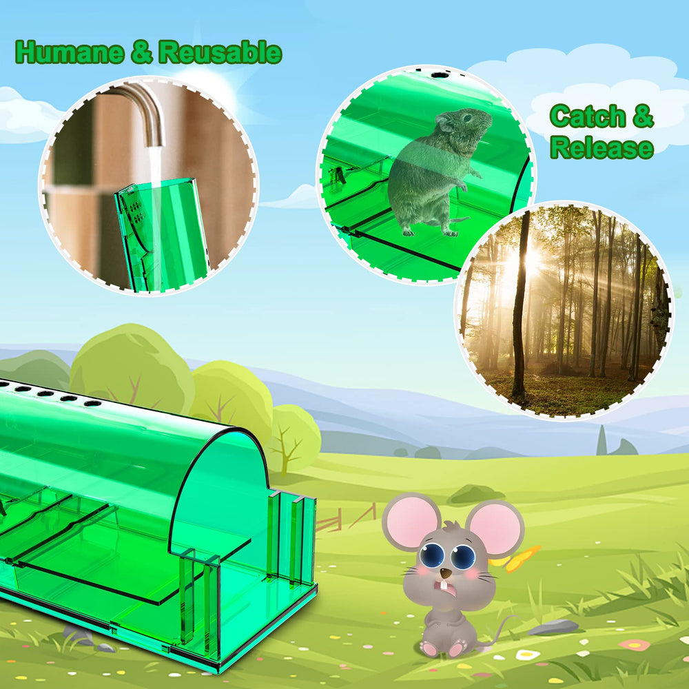 Wanqueen trampa conteniendo un ratón vivo, captura humana para liberación