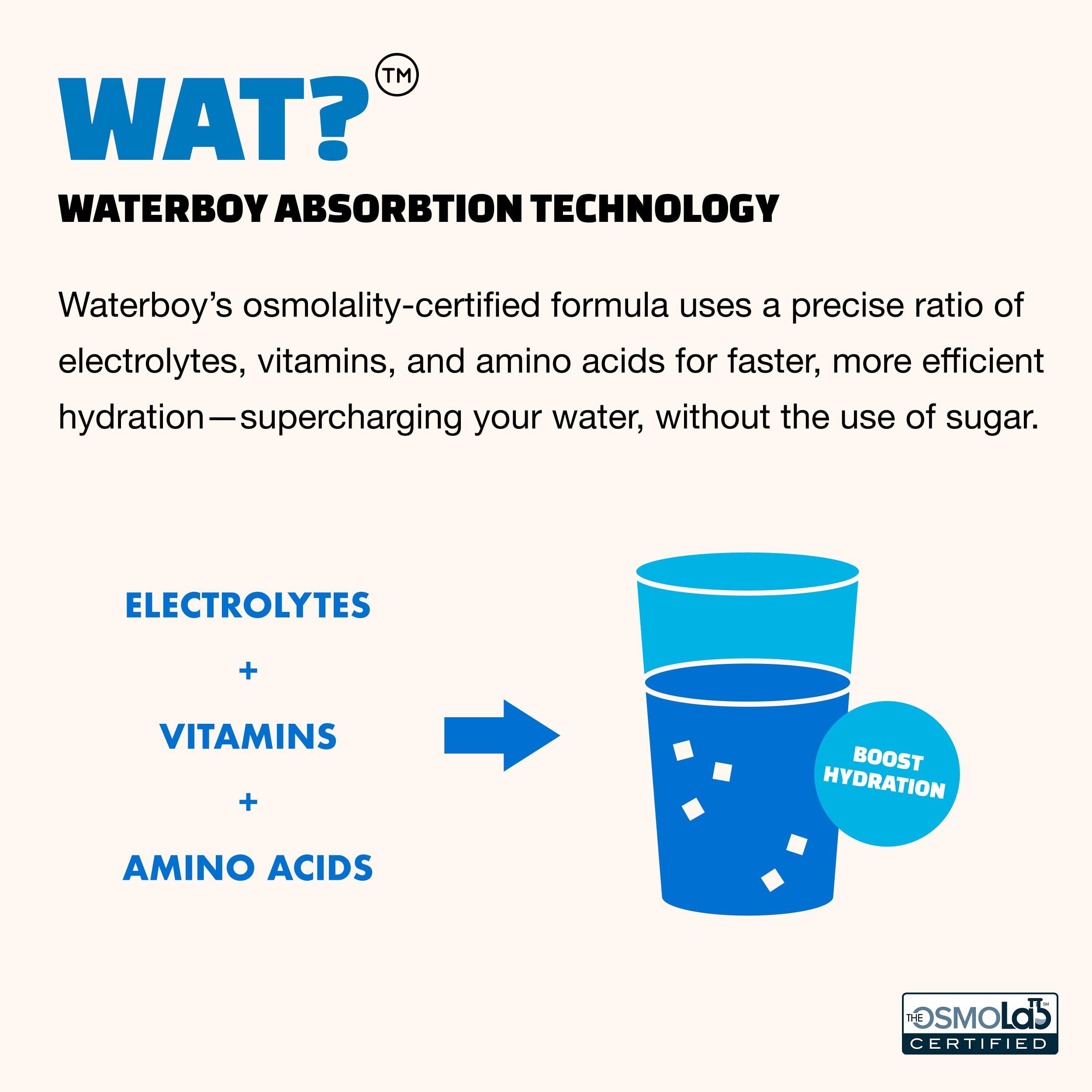Waterboy ingredientes en primer plano jengibre y L-teanina para confort