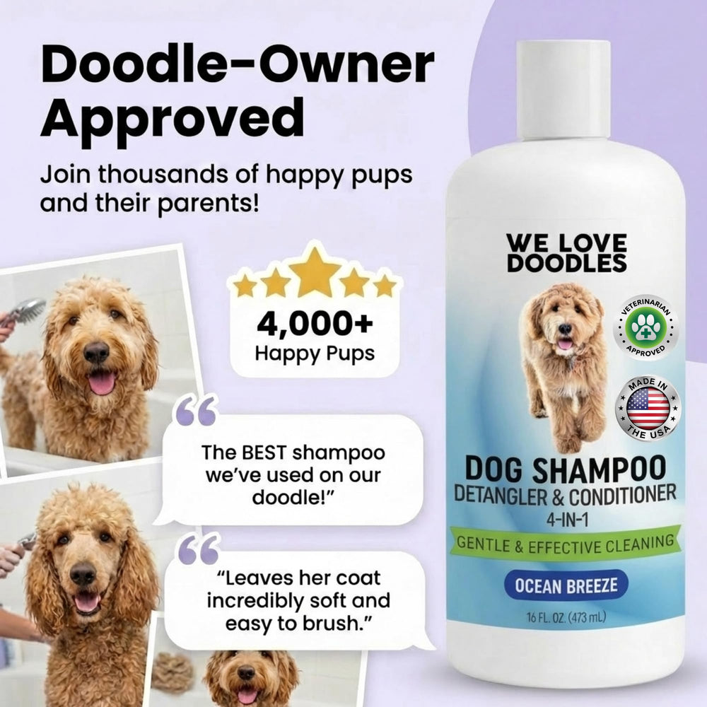 We Love Doodles ingredientes naturales como aloe y jojoba que hidratan