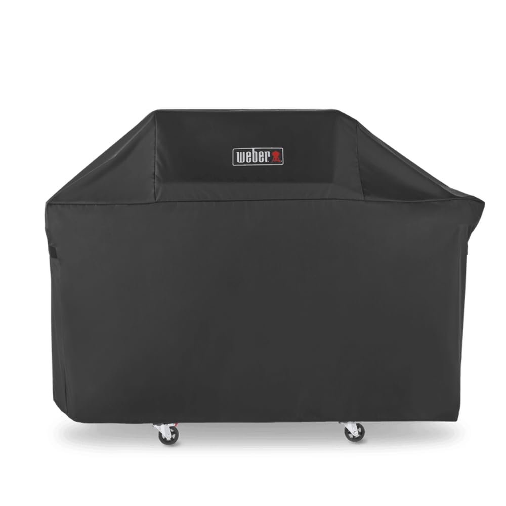 Weber funda junto a parrilla para ver ajuste y escala