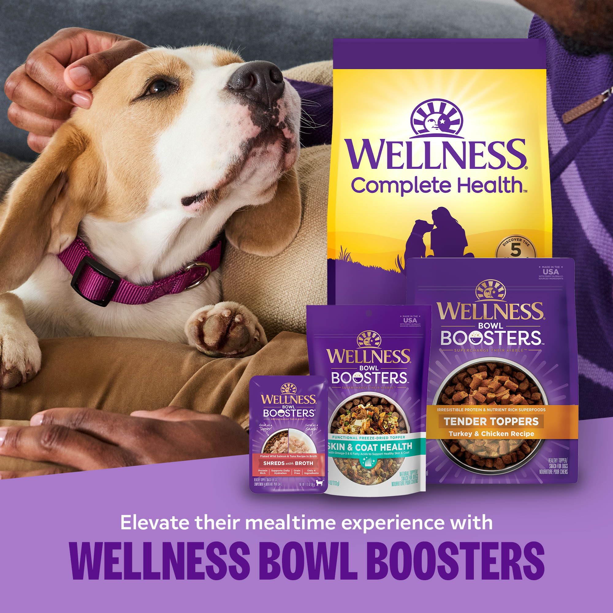 Wellness perro comiendo el topper, promueve comidas más apetecibles