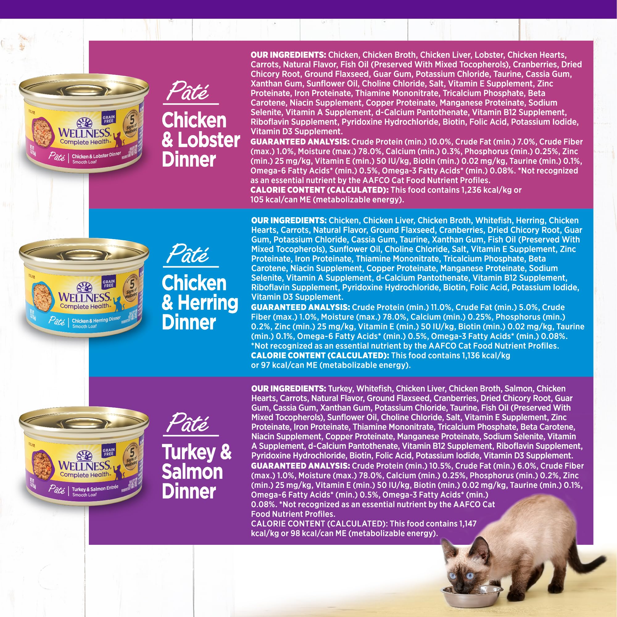 Wellness cat enjoying pate from bowl showing palatability and appeal