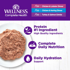 Wellness close-up of pate texture showing smooth consistency for easy eating