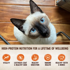 Wellness ingredientes reales pollo y pavo, alto contenido proteico