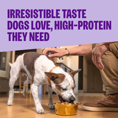 Wellness CORE+ close-up of kibble and freeze-dried pieces highlighting texture