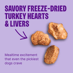 Wellness CORE+ kibble next to a coin to show small-breed size convenience