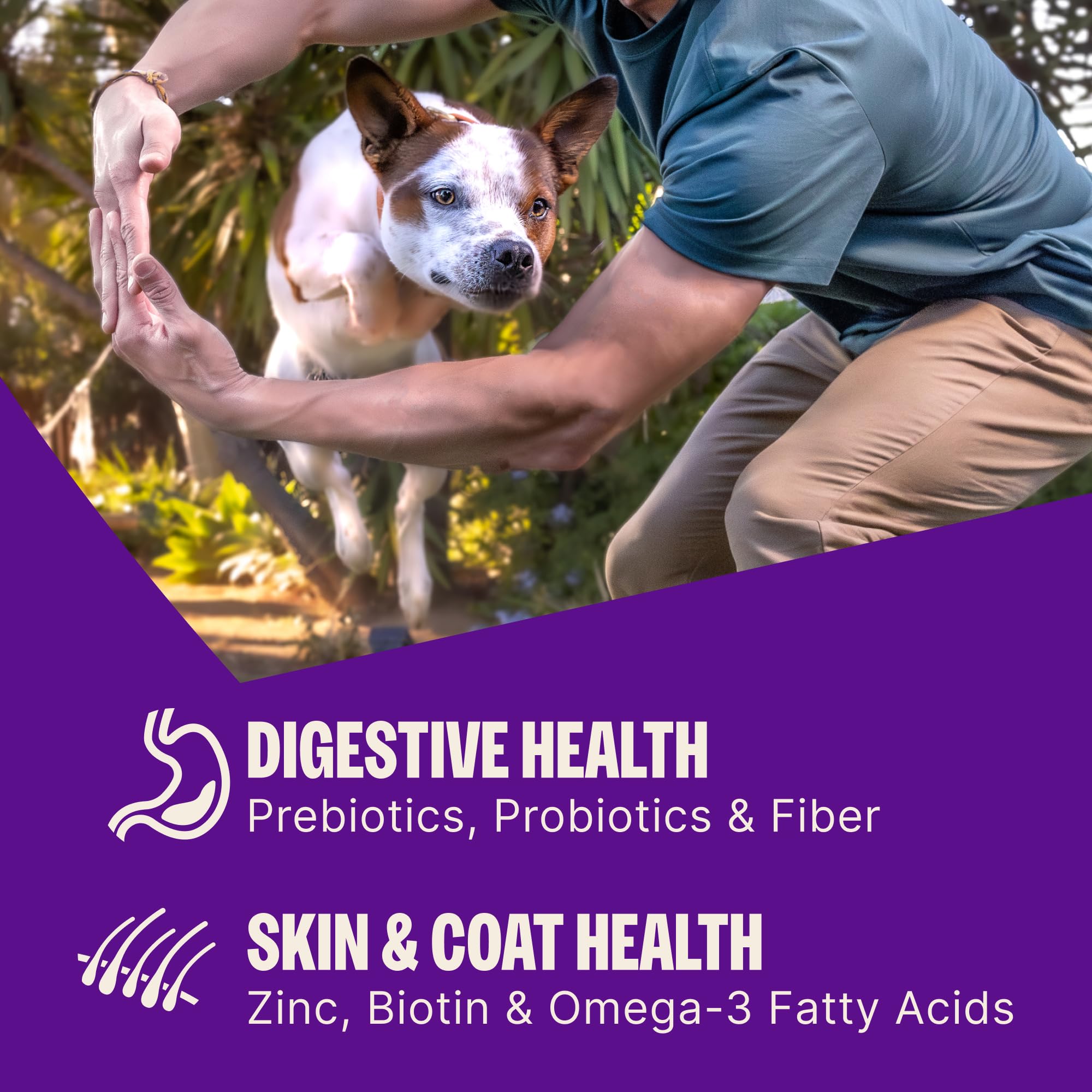 Wellness CORE+ label nutrition panel showing guaranteed nutrients and probiotics