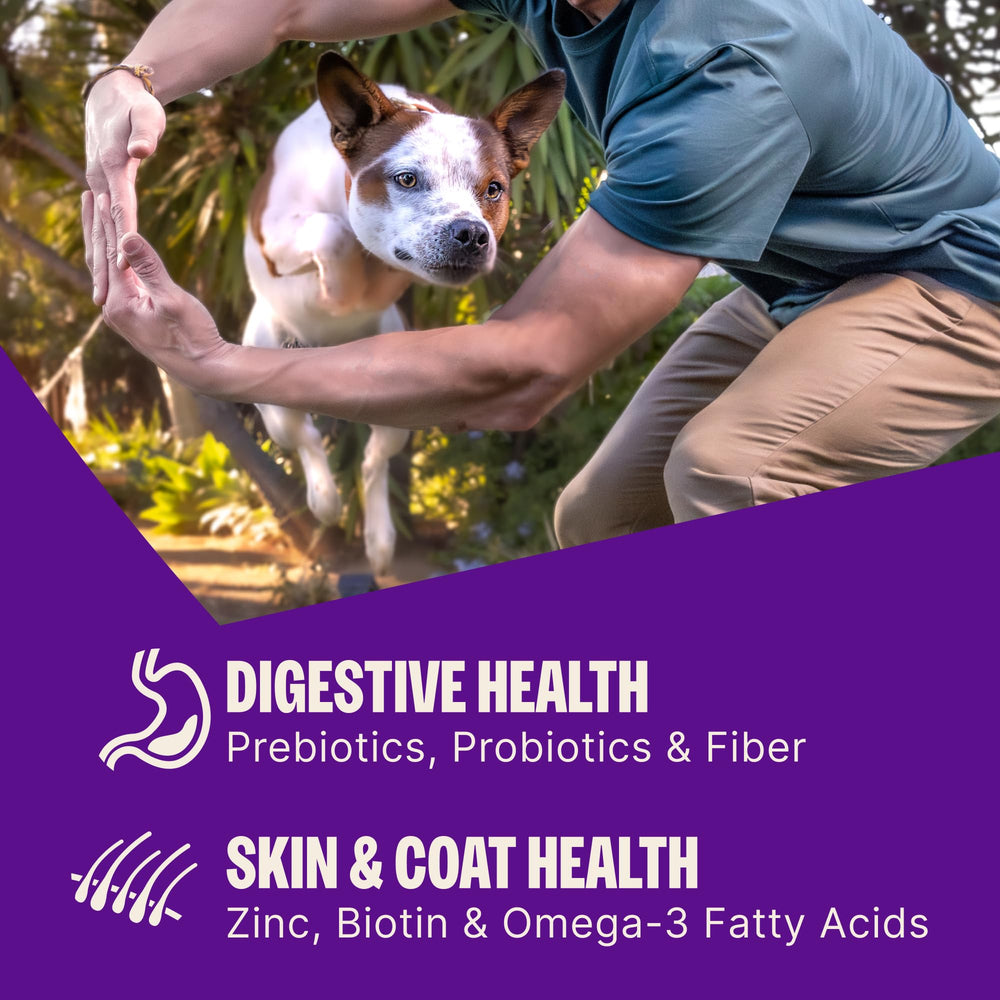 Wellness CORE+ label nutrition panel showing guaranteed nutrients and probiotics