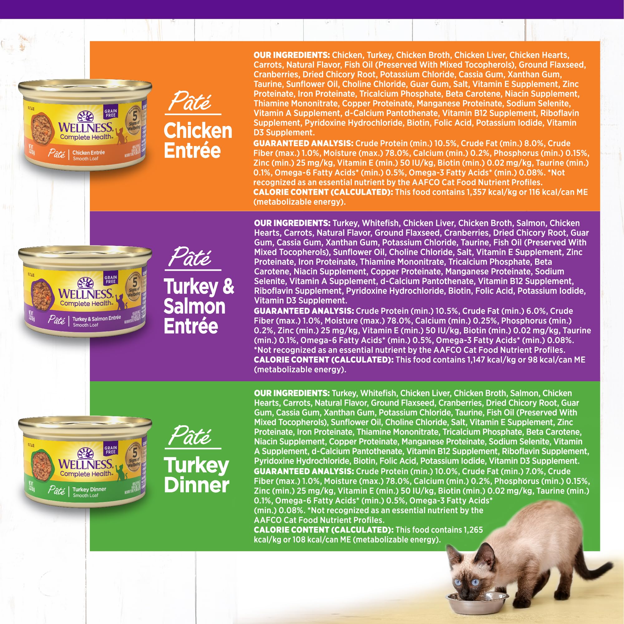 Wellness pate en plato listo, presentación atractiva para gatos exigentes