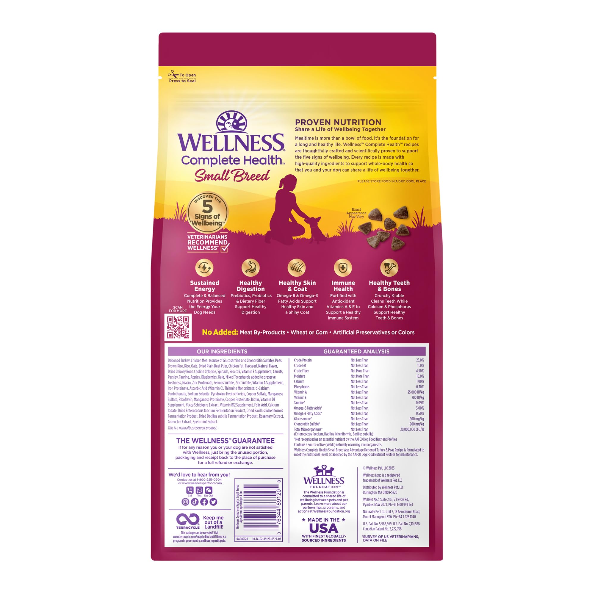 Wellness perro pequeño en ambiente hogareño luciendo pelaje sano y movilidad