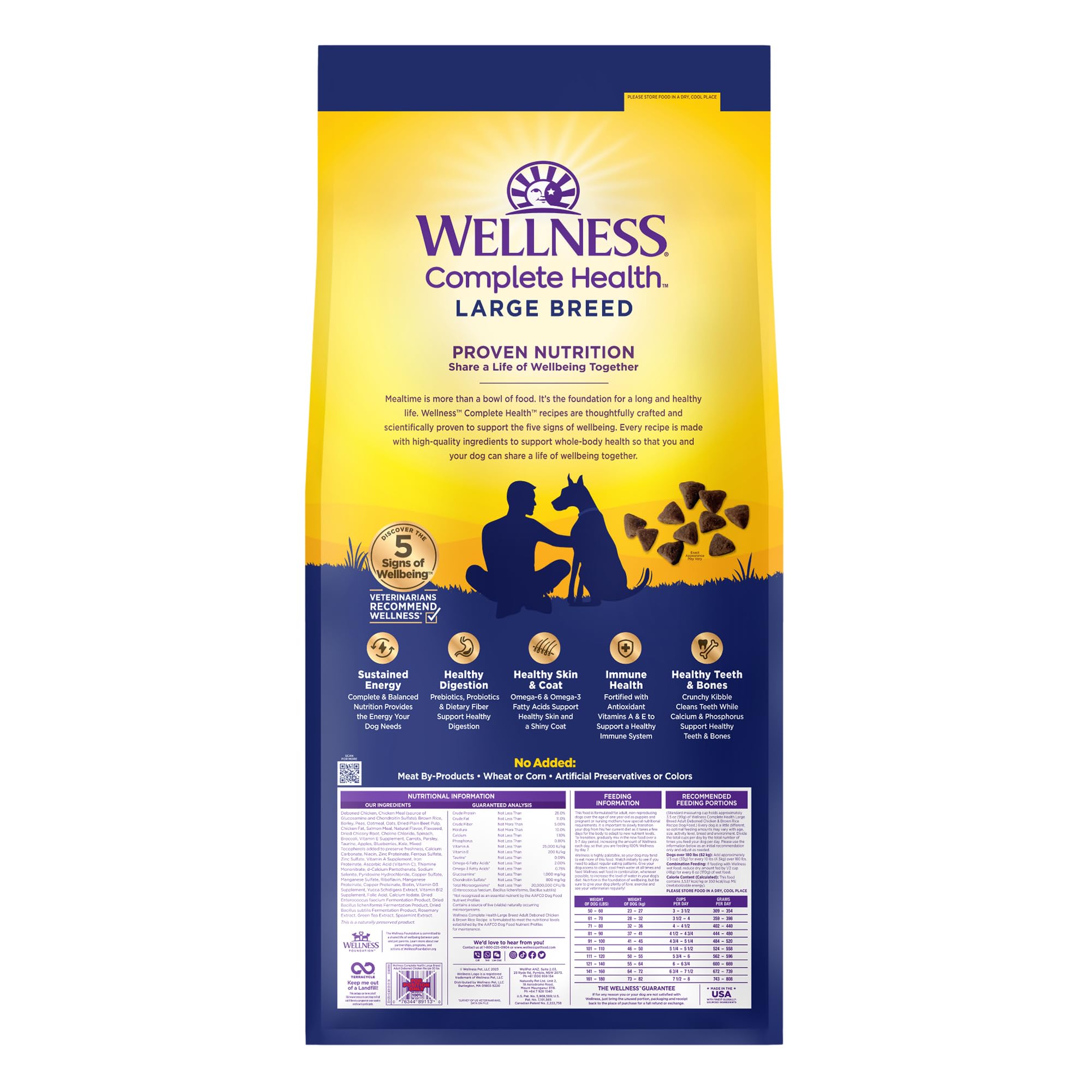 Wellness perro y dueño en exterior mostrando energía y movilidad después de nutrirse