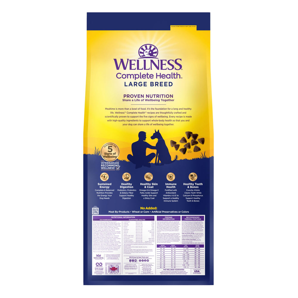 Wellness perro y dueño en exterior mostrando energía y movilidad después de nutrirse