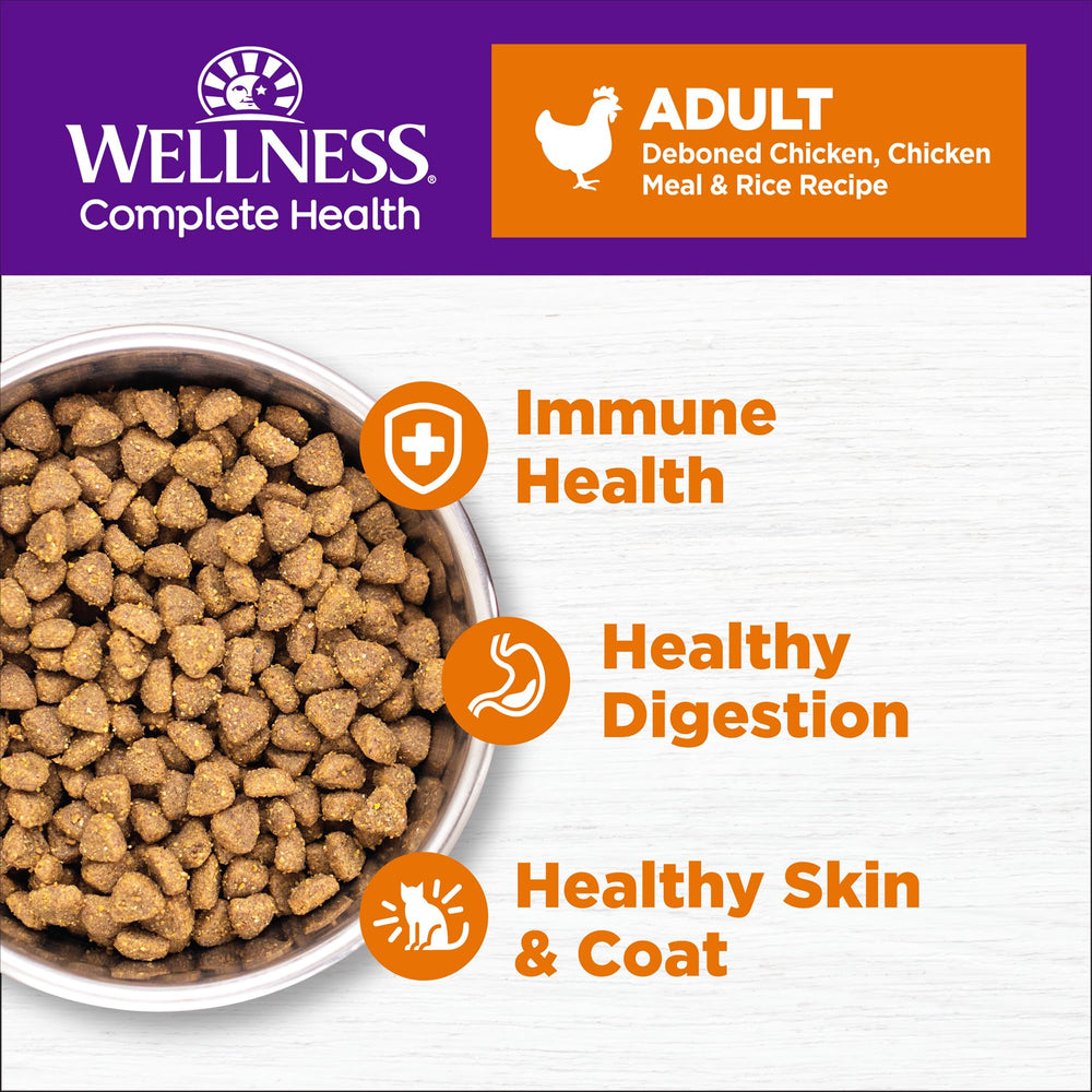 Wellness textura del kibble en primer plano que evidencia crocancia para higiene dental