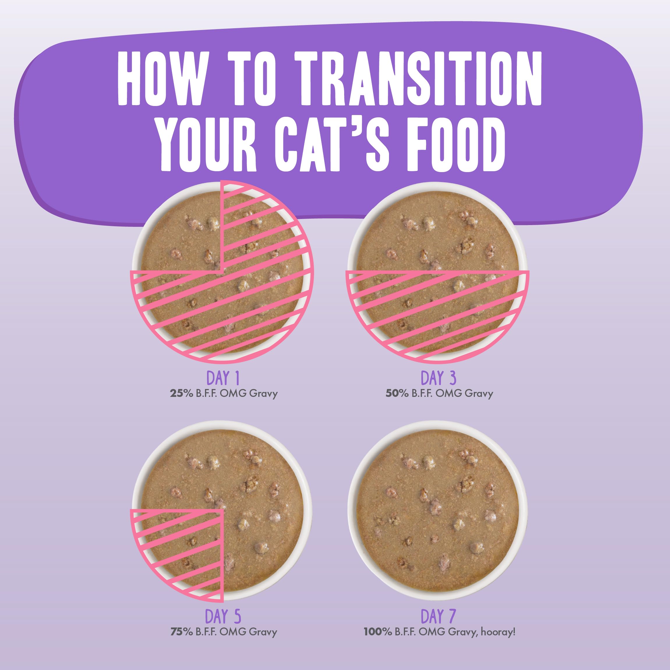 Weruva gato comiendo del sobre en cocina, ilustrando alta aceptación