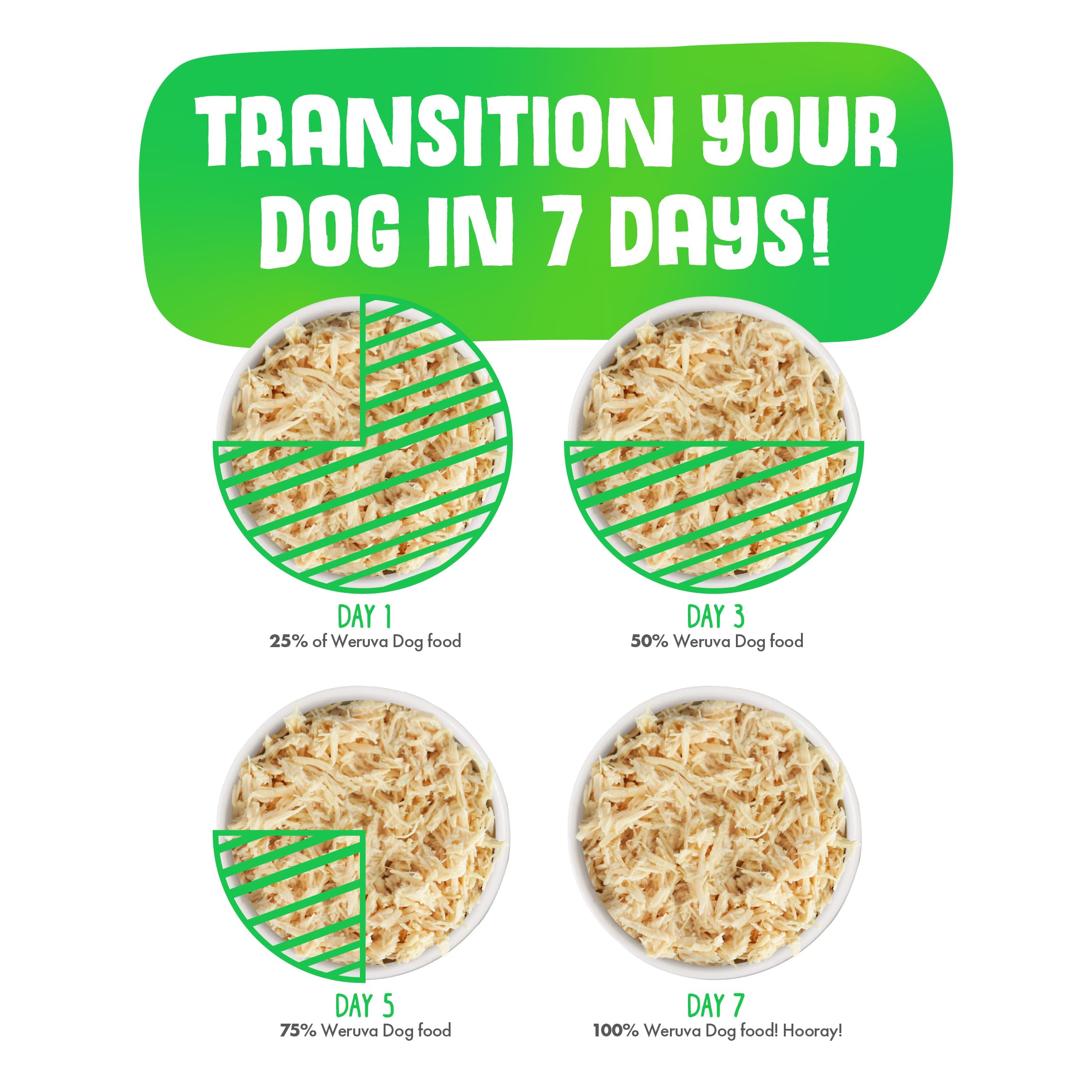 Weruva estilo de vida varios perros compartiendo comida saludable