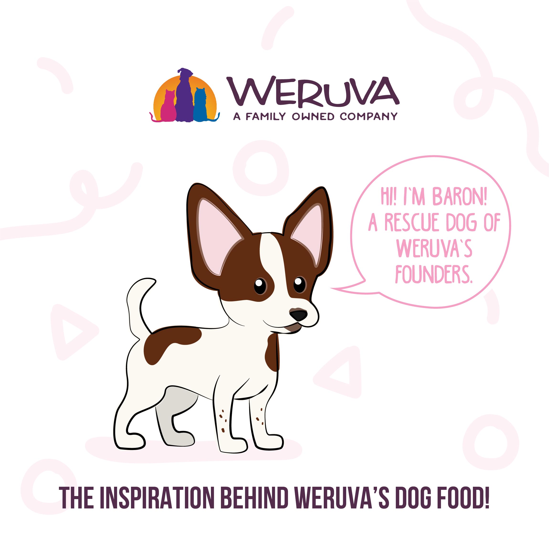 Weruva perro disfrutando la comida húmeda en un entorno hogareño