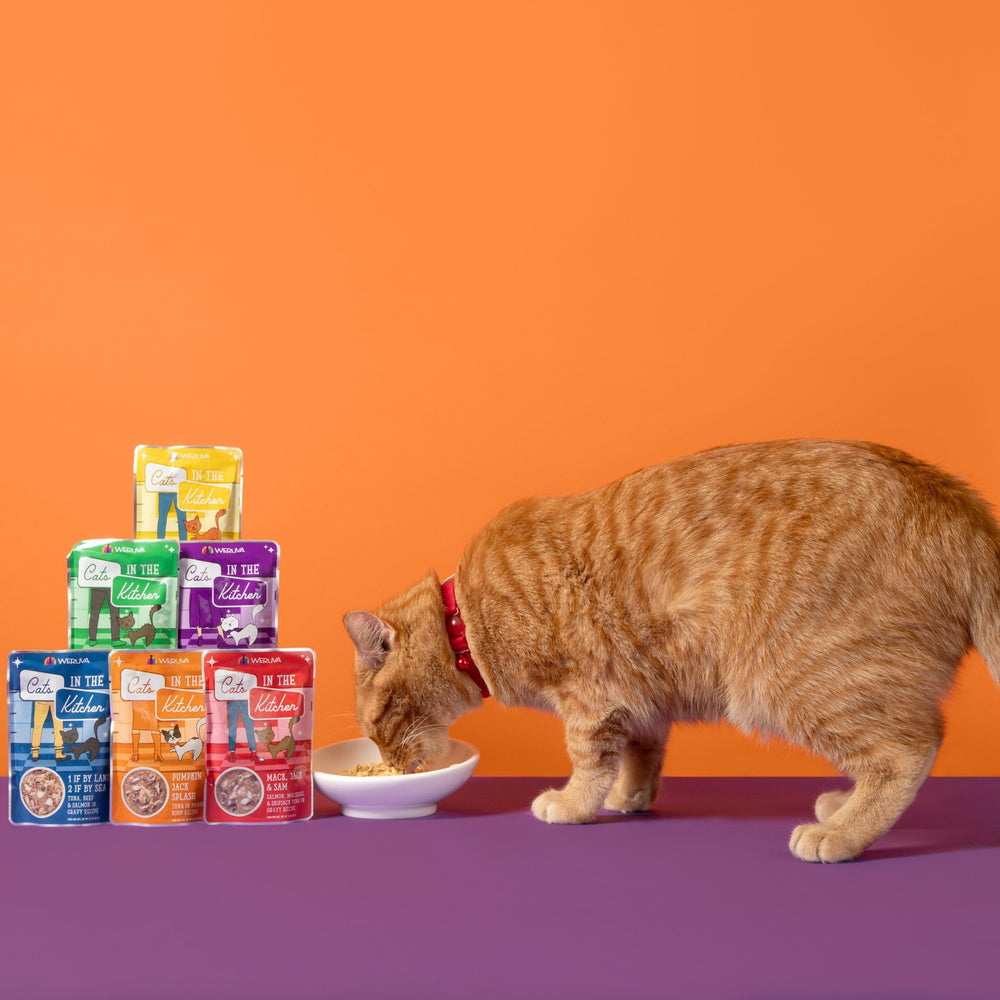 Weruva pouch on kitchen counter showcasing everyday feeding lifestyle ease