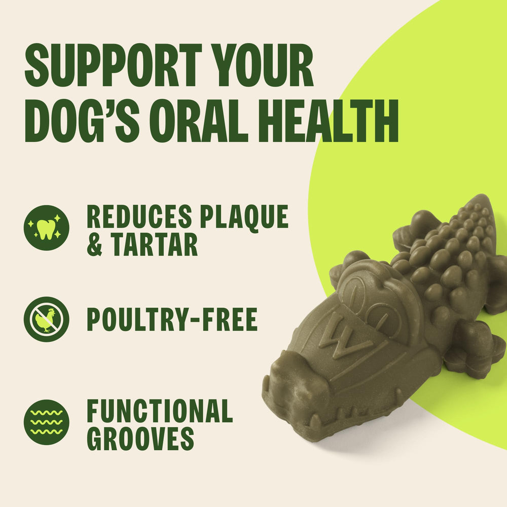 Whimzees perro masticando demuestra entretenimiento y limpieza dental