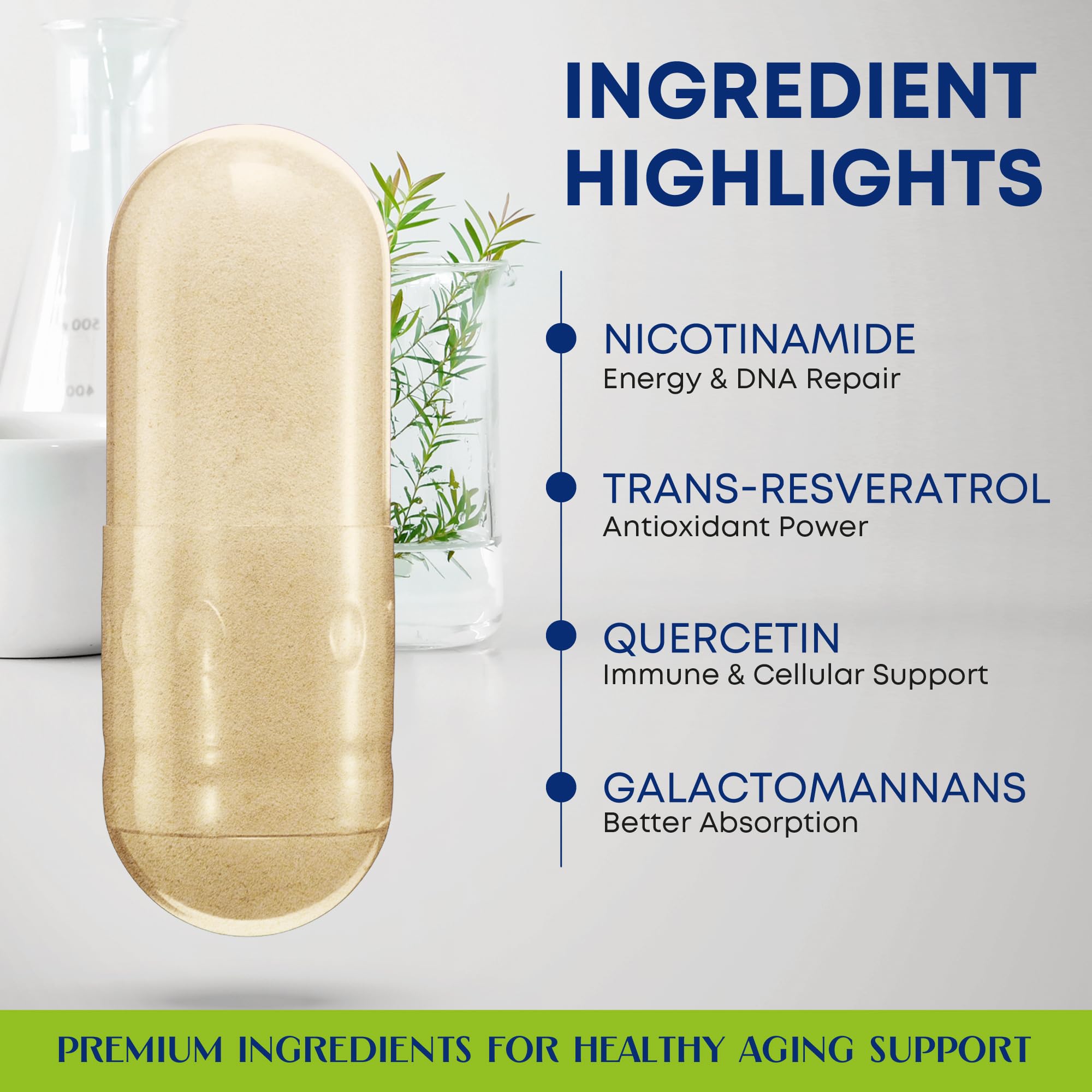 WHISPERWOOD detalle del listado de ingredientes y concentraciones