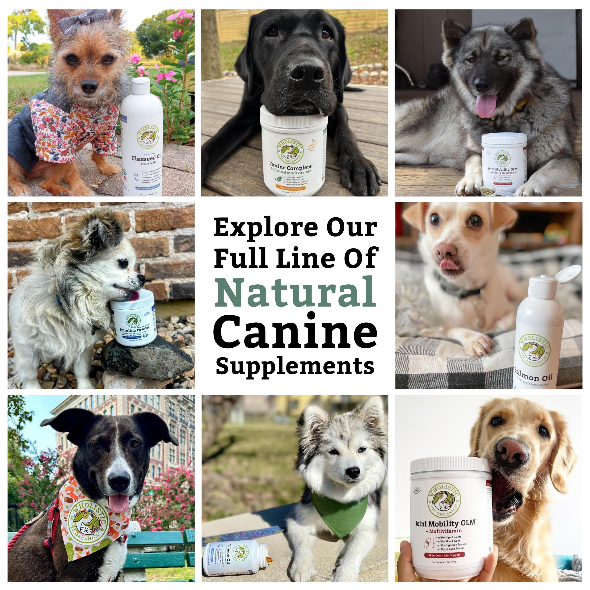 Wholistic Pet Organics primer plano de ingredientes naturales y orgánicos