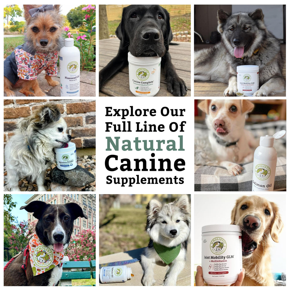 Wholistic Pet Organics primer plano de ingredientes naturales y orgánicos