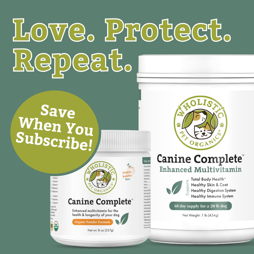 Wholistic Pet Organics perro comiendo plato mezclado, favorece palatabilidad