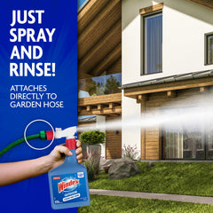 Windex before and after window showing visible grime removal benefit