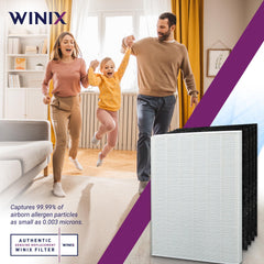 Winix filtro 115115 instalado en purificador demostrando rendimiento renovado
